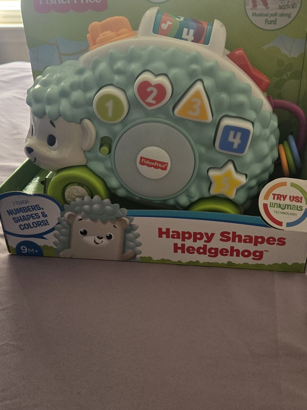 Fisher-Price Mint Green Happy Shapes Hedgehog Toy